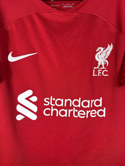 Gros plan sur l'écusson du Liverbird de Liverpool et le logo Nike blanc sur le torse.