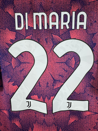 Zoom sur le nom DI MARIA et le numéro 22 blanc