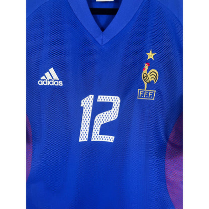 Détail de l'écusson de la France avec une étoile et du logo Adidas