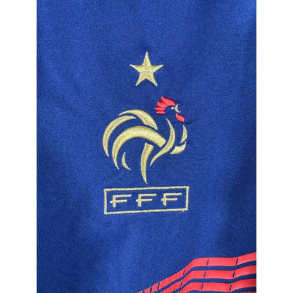Détail de l'écusson de la FFF