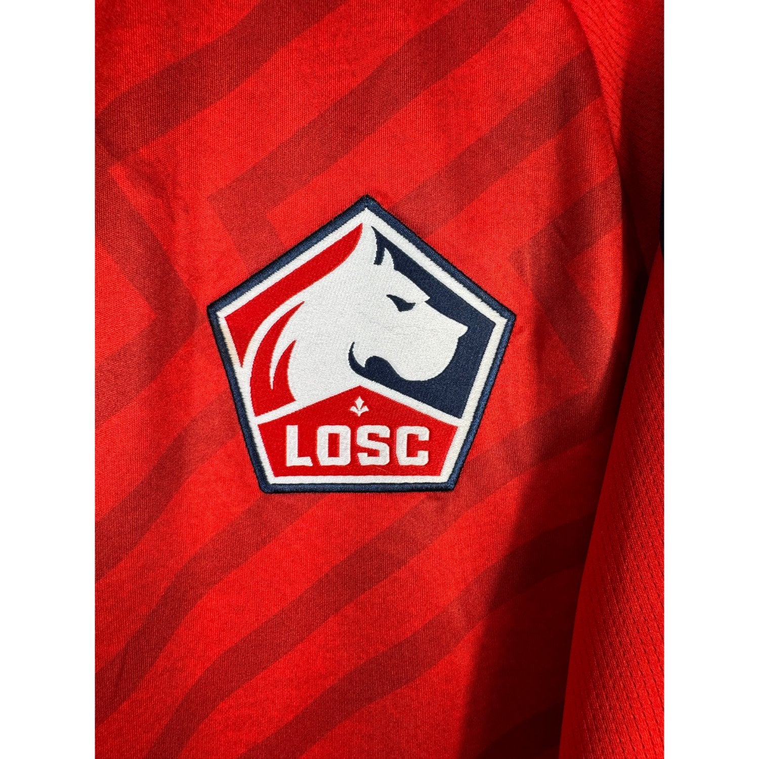 Détail de l'écusson du LOSC