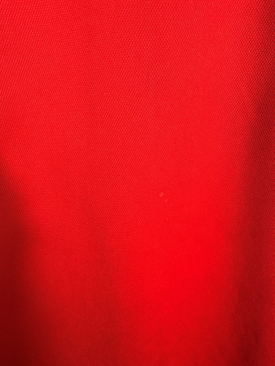 Détail petite tache maillot Pays de Galles 2018 domicile